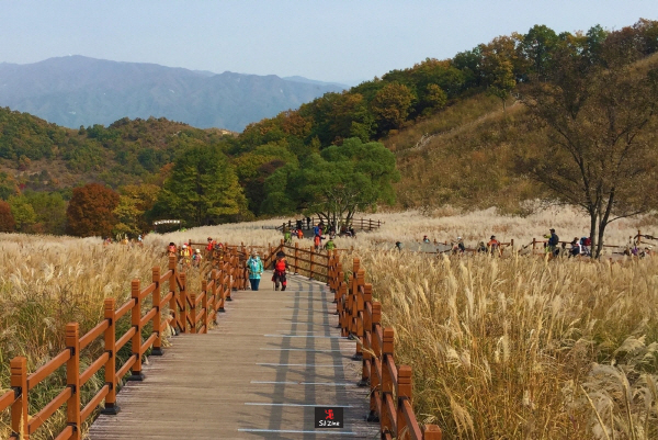 숨로스터리 이미지