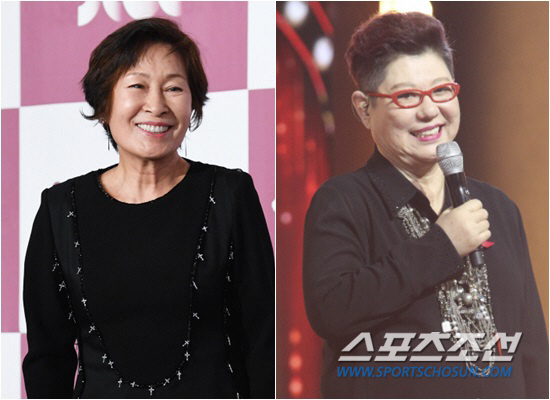 National Actor Hye-ja Kim and luxury voice Yang Hee-eun receive the Medal of Culture.On the 22nd, the Ministry of Culture, Sports and Tourism announced that 28 people including Hye-ja Kim and Yang Hee-eun were selected as winners of the 2019 South Korea Popular Culture and Arts Award, which honors those who contributed to the development of popular culture and arts.This year, five Medal of Culture, six Presidential Citations (team), eight Prime Ministers Citations, and nine Minister of Culture Citations (teams) will receive the award.Hye-ja Kim, who has been giving a smile to the modifier of National Mom, and Yang Hee-eun, who comforted the times with songs, will win the Medal of Culture.The Medal of Culture is a South Korean first-generation band guitar player, Kim Hong-tak, who wrote the drama Seoul Month, There is a Blue Bird, Seoul Tukgi script, and the first-generation performance YG Entertainment.The Presidential Commendation is awarded by Actor Yum Jung-ah, singer and radio DJ Bae Chul-soo, band spring and summer autumn winter, voice actor Kim Ki-hyun, choreographer Seo Byung-gu and director Hong Kyung-pyo.Singer Kim Wan-sun, Actor Kim Nam-gil, Kim Seo-hyung, Han Ji-min, broadcaster Song Eun, Sungwoo Lee Jung-gu, performer Ham Chun-ho and Cho Hyun-tak were selected as winners of the prime ministers award.Girl group Mama Moo, group Monster X, NCY127, singer Song Gain, Actor Ryu Joon Yeol, Lee Hae-in, Jung Hae-in, Jin Sun-gyu and choreographer Ria Kim are awarded the Minister of Culture and Tourism.The popular culture and arts award will be held at 7 pm on the 30th, as a government award to raise the social status of popular culture and arts and the motivation of popular culture artists.
