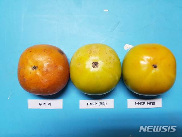 신선도 이미지