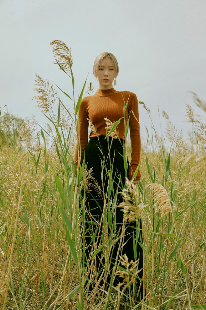 태연 이미지