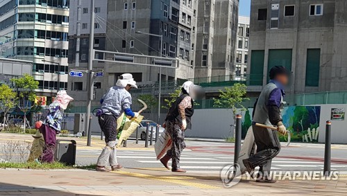 일하는 노인들 세종시의 아파트 밀집 지역에서 노인들이 잡초 제거작업을 하고 있다. [촬영 이세원]