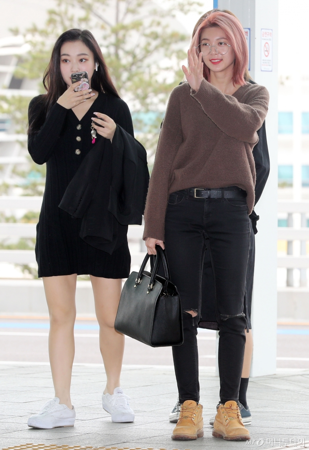 다미 이미지