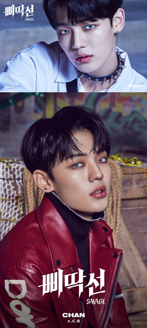 Group Ace (A.C.E) member Chanpur shows off his Incomparable charisma.On the 24th and 25th, Chanpurs personal concept photo and new song SAVAGE (Savage) Music Video teaser video were released through the official SNS channel of Ace.Chanpur in the concept photo is attracting attention with colorful styling such as color lens and choker, and it predicts image transformation with fascination eye.SAVAGE is a song that will draw the story of just geeks who say Take our twisted line with Aces charm.Famous choreographer Ri A-kim, Wonmillian Dance Studio, and world-renowned Korean-American choreographer Mike Song, a member of the Kinzaz group, participated.