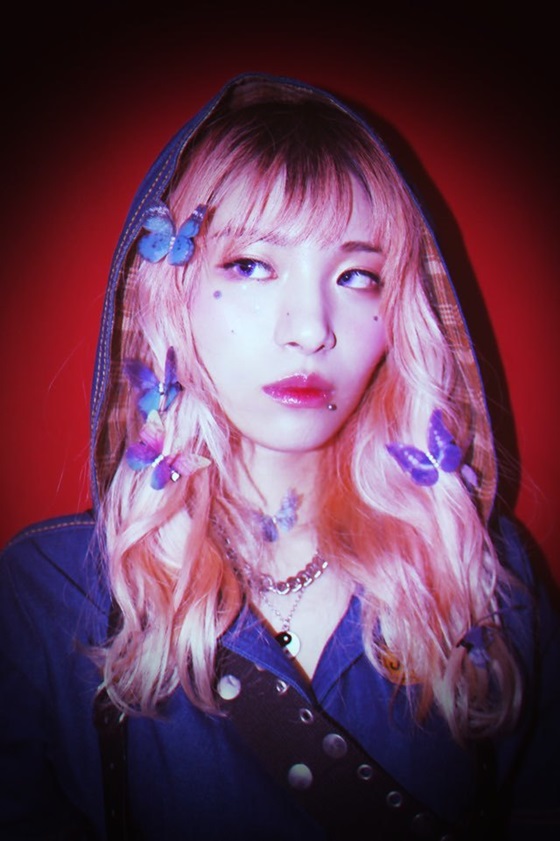 인디고 이미지
