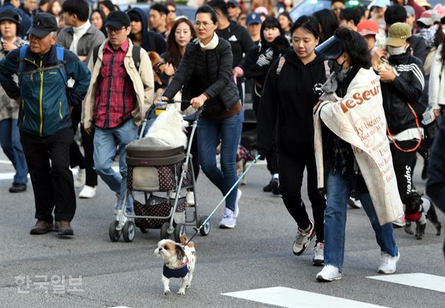 486 광장 이미지