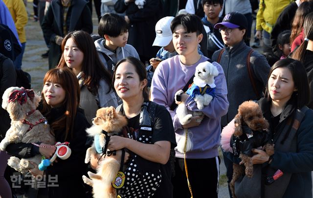 486 광장 이미지