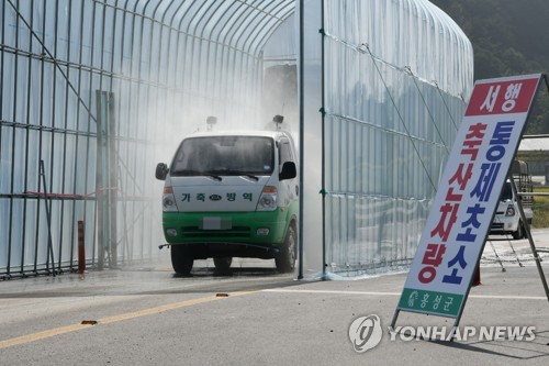 돼지인력 이미지