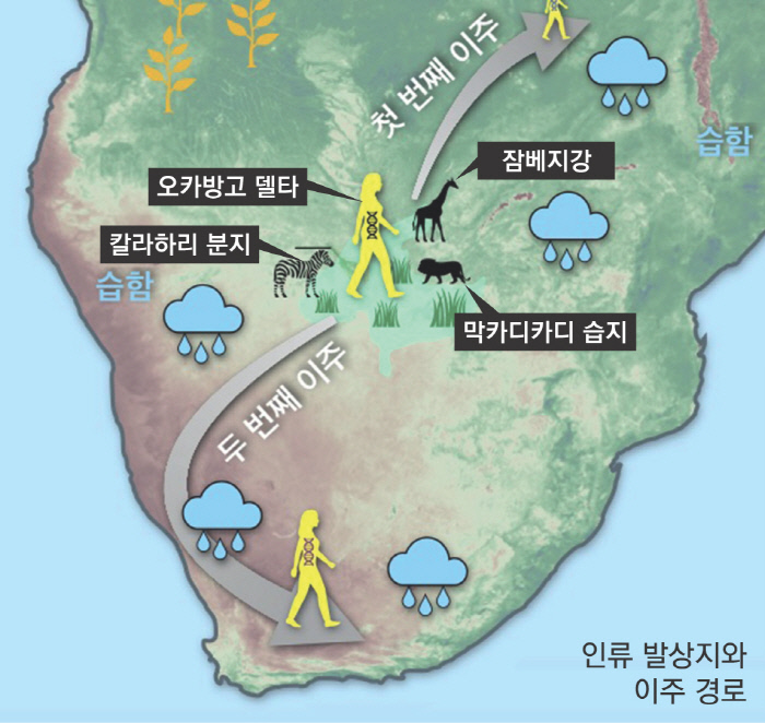 아프리카 이미지