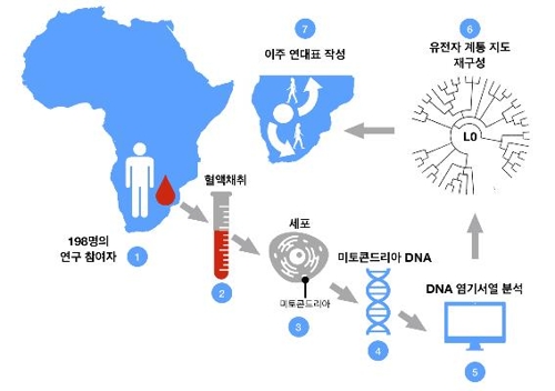 혈액 시료에서 L0 유전자 뿌리를 추적하는 과정 [과학기술정보통신부 제공]