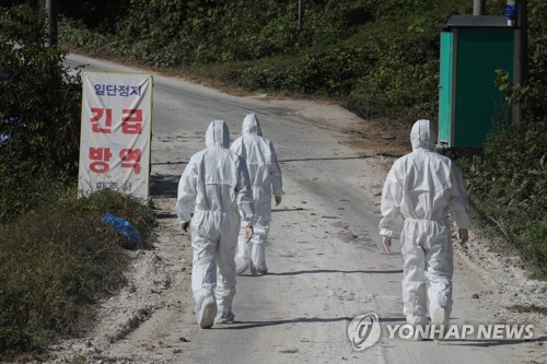 돼지인력 이미지