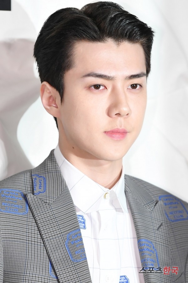 EXO Sehun attends the Louis Vuitton Maison Seoul opening event held in Cheongdam-dong, Seoul Gangnam District on the afternoon of the 30th.At the event, Bae Doo-na, Song Min-ho, Jung Woo-sung, Sharing, Ha Jung-woo, Choi Woo-sik, Cha Eun-woo, EXO Sehun, Han Ye Sul, Suhyun, Jessica, Isom, Chloe Moretz, Alicia Vikander, Chinese actor Diriruba, Hong Kong actor Im Ga-heun and Philippine actor Ann Curtis attended.