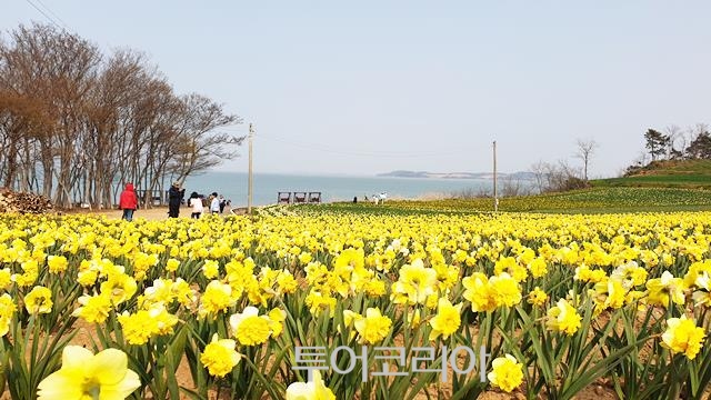 선돈 이미지