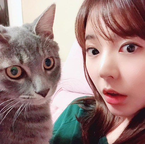 써니바 이미지
