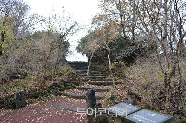 제주오감 이미지