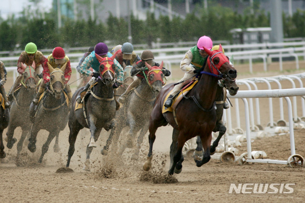 한국마사회 부산경남지역본부 이미지