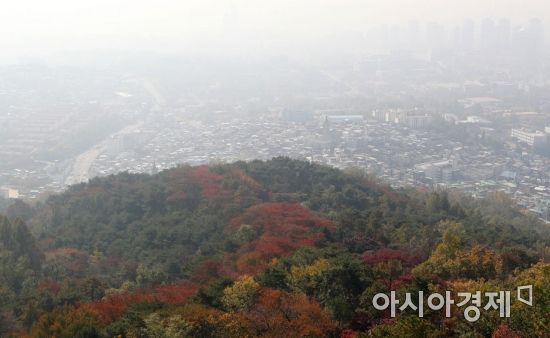 중앙종합안전기술연구원 이미지