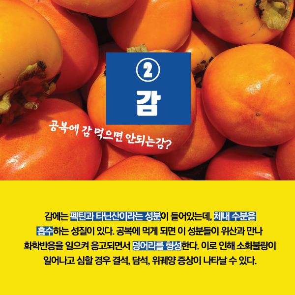 ⓒ제작 = 데일리안 이지희, 박진희 디자이너