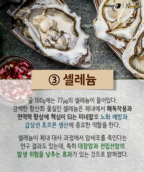 바다쿡 이미지