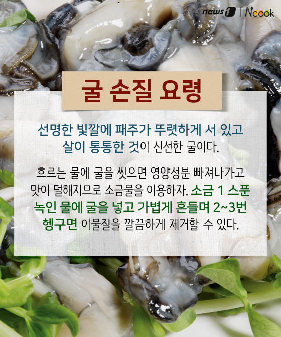 바다쿡 이미지