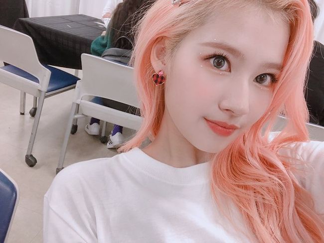 Girl group TWICE Sana sniped fans hearts with Pink Hair style and clear skin.On the 8th, TWICE official Instagram posted articles and photos such as DAY1 and DAY2.Inside the photo was a picture of Sana taking a picture in the waiting room.Sana, who is posing with various expressions and poses, captures the attention of those who see with clear features and outstanding visuals.Sana and Pink Hair boast a cluttered fit; Sana boasts a thrilling appeal in a variety of styles, including t-shirts and stage costumes.On the other hand, TWICE, which Sana belongs to, performed World Tour 2019 TWICE Lights.