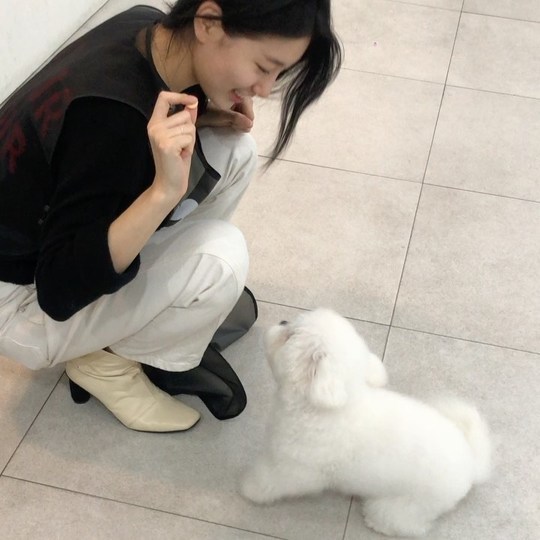 Singer and actor Bae Suzy has revealed her lovely routine.Bae Suzy posted the video on November 9 with an article entitled Dessie on her Instagram.Inside the video, there was a picture of Bae Suzy giving snacks to puppy; Bae Suzy is smiling as she looks at puppy.The sculptural side of Bae Suzy catches the eye - the innocent vibe of Bae Suzy also stands out.The fans who responded to the video responded such as I love you, How lovely is it, Puppy is cute, and my sister is beautiful.delay stock