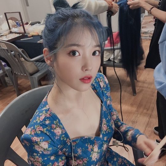 Singer IU has revealed her elves and current status.IU posted a picture on the SNS on November 10, I can never forget the first performance audience every year. Thank you for hugging me this year. Gwangju # Love sports im # Best Performance Hall.Introduction - > Interview Free Pass Incheon # Love Poem # This performance c # Photo Inducing me and Incheon Concert Behindcut also shared.IU released its new digital single Love Poem (Love Poem) on the 1st, and won the top spot on the music charts.After the release of the new song, I am concentrating on the performance schedule.IU finished the national tour at the Universiade Gymnastics Stadium in Gwangju on the 2nd and 3rd, and finished the performance of Incheon Namdong Gymnasium on the 9th.Busan Sajik Indoor Gymnasium on the 16th and Seoul KSPO DOME (formerly Olympic Gymnastics Stadium) performance on the 23rd and 24th are scheduled.hwang hye-jin