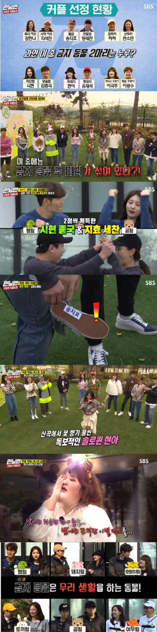 SBS Running Man recorded 8.2% of the best TV viewer ratings.Running Man, which was broadcast on the last 10 days, was decorated with Mysterious Animal Farm Race, and singer Hyona, actor Kang Han-Na, gag woman Lee Guk-joo and Everglow Sihyun appeared.On this day, Race must find two banned animals that hide their identity, and if they get all the opponents out first, they win.Two banned animals must perform a hidden mission before the final race, and provide hints for the banned animal for each round winning couple.Yoo Jae-Suk - Hyona, Ji Suk-jin - Kang Han-Na, Kim Jong Kook - Shihyeon, Haha - Jeon Somin, Lee Kwang Soo - Lee Guk-joo, Yang Se-chan - Song Ji-hyo got hints about banned animals through each mission while couple.Hints were the name tag for Song Ji-hyo, Forbidden animals live in herds, and rabbits and pig foxes were narrowed down to prohibited animals.The scene took the best minute with the highest TV viewer ratings of 8.2% per minute.On the other hand, the identity of the prohibited animals is expected to be released on the broadcast next week.Running Man airs every Sunday at 5pm.Photo = SBS Broadcasting Screen