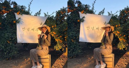 서현농장 이미지