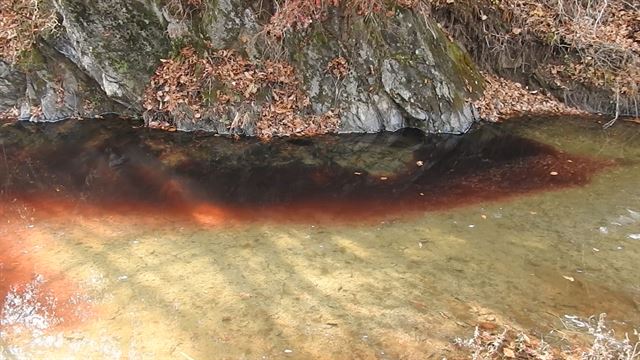 10일 경기 연천군 임진강 상류의 한 하천이 인근 살처분 돼지 사체에서 새어 나온 핏물로 오염돼 있다. 연천임진강시민네트워크 제공