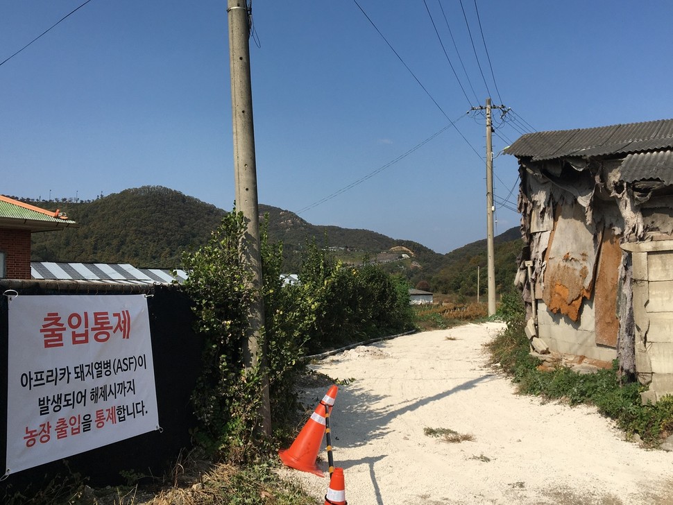 떴다 돼지한마리 이미지