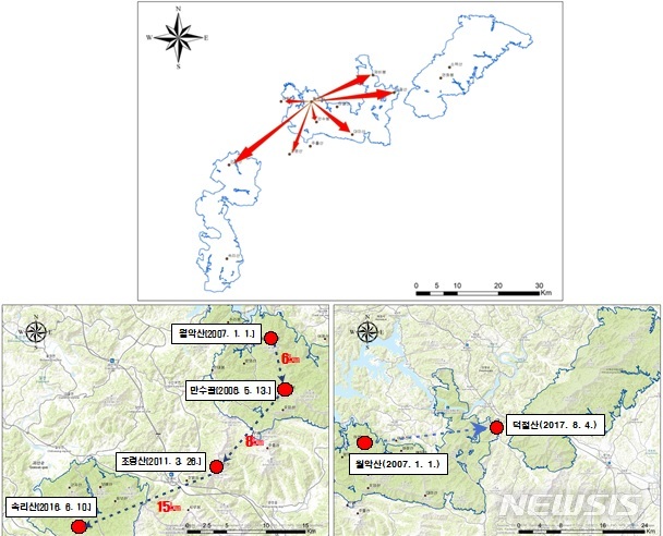 【세종=뉴시스】백두대간을 통한 월악산 산양 확산 지도(上)와 확산 경로(下, 좌 속리산·우 소백산). 2019.11.13. (자료=국립공원공단 제공)