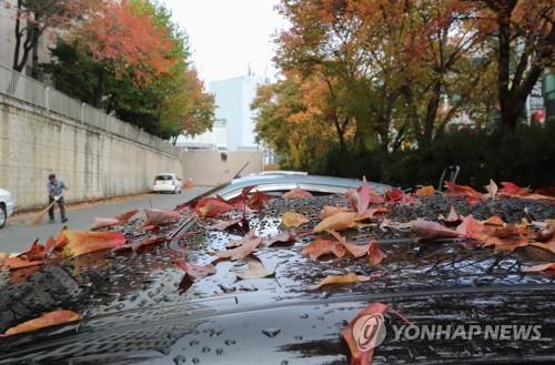 늦은오후 이미지