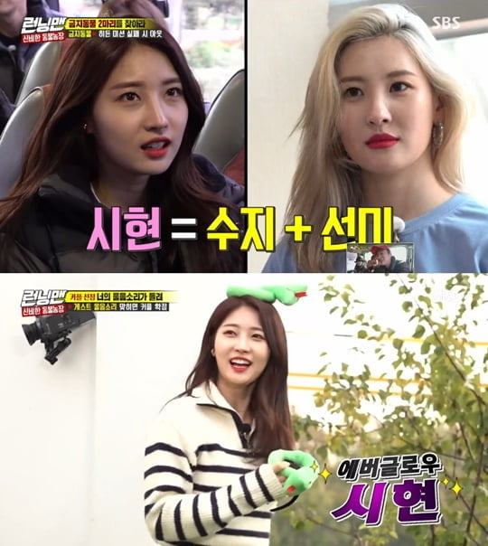 시현 이미지