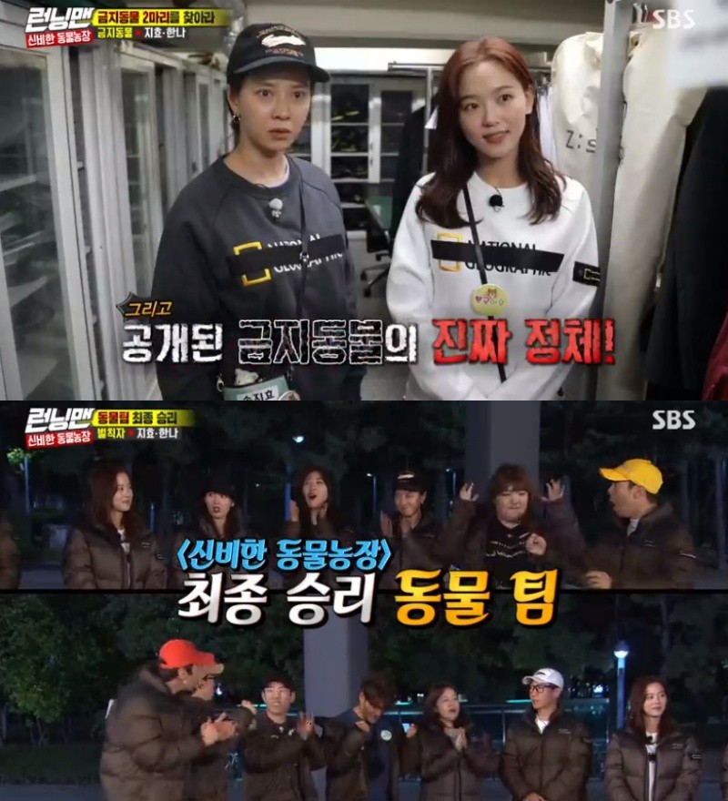 I only introduced the guest, but the amount of TIKI-TAKA of Running Man members was made all the way.Here, Jeon So-mins sweat was a timely burst, boasting a perfect teamwork.On SBS Running Man broadcasted on the 17th, actors Choi, Seo Eun-soo, Jinyoung of group GOT7, and broadcaster Hur Kyung-hwan became the guest and had time to show their organs.Choi and Seo Eun-soo first performed Korean dance, and Jeon So-min, who learned two months in the welfare center, also showed a demonstration.In this process, the members admired the guest properly when they praised the guest, and when the entertainment points were captured, they showed the horse to maximize the fun.On this day, Jeon So-min came out to show the dance that he learned at the welfare center after the guest Choi and Seo Eun-soo showed Korean dance demonstration with luxurious dance.As soon as he took off his jacket, he was caught sweating and had to be teased by the members.After that, Jeon So-min Armpit sweat sightings were followed and enough was made.Members admired Jinyoung after the Korean Dance Time (?) showed some of the dances of the new GOT7 song, saying, My body is light.The guest introduction time, which seemed to be finished like this, started again when Haha drove him to the center, saying, Yang Se-chan seems to be conscious.It was a laughing sea in the dance of Yang Se-chan, which was reckless enough to be reckless, and suddenly Lee Kwang-soo took over Baton and rushed to the center and showed off his dancing skills.Earlier this day, Running Man was broadcast on the mysterious animal farm, which had to catch two people who were identified as prohibited animals after the 10th.The race was divided into an animal team and a banned animal team, and the animal team won the final victory by catching Kang Han-na and Song Ji-hyo, who were designated as prohibited animals.Before catching the banned animal, the cast was confused by DVD hints, among which Yoo Jae-Suk showed a creepy reasoning and drove the victory.Kim Jong Kook, Lee Kook Joo and Yang Se-chan, who received hints from Yoo Jae-Suk, gathered together to arrest the banned animals.The Running Man mysterious animal farm was divided into bear team (Sechan - Jihyo), snake team (Jongguk - Sihyun), pig team (Jaseok - Hyuna), fox team (Hanna - Jiseok), rabbit team (Sommin - Haha), tiger team (Gwangsu - Nationality).