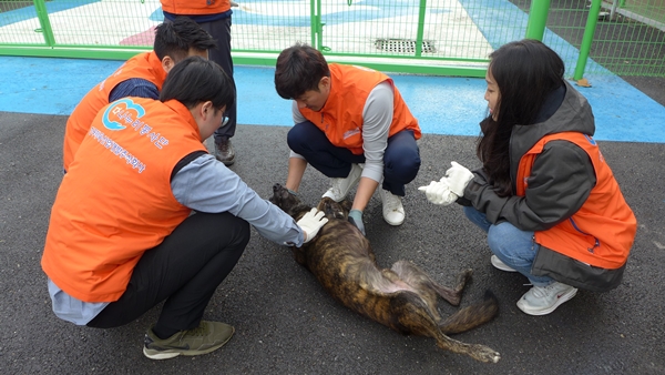 한국산업개발 이미지