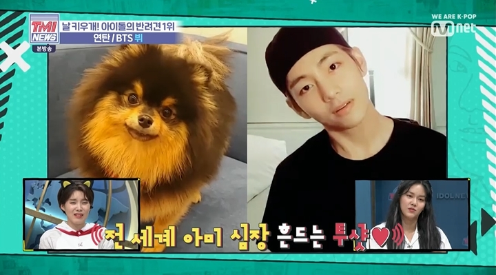 Actor Park Seo-joon and BTS V are known to have a dog meeting.Mnet TMI NEWS, which was broadcast on November 20th, introduced the theme of Idol Pet, Idols Pet, I want you? Idols companion.Park Seo-joon, who is raising non-simba, has a BTS V and a dog meeting that is raising pet briquettes, Hyejeong said.Park Su-in