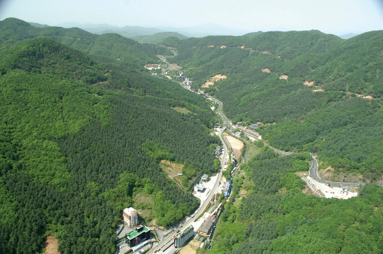 39호 이미지
