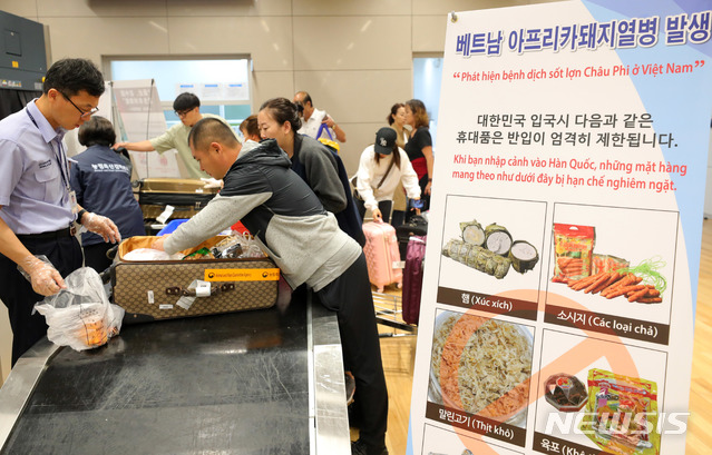 선양돼지 이미지