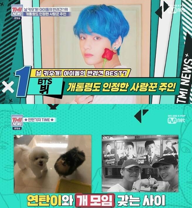 Group AOA Hyejeong has announced that they will hold a Pet meeting with Actor Park Seo-joon and BTS (BTS) member V.In the Mnet entertainment program TMI NEWS, which aired on the 20th, Ji Min and Hyejeong of the group AOA in the 8th year of DeV appeared as guests.The first idol to raise pet was BTS V. V, a famous animal lover who went down to Geochang in Gyeongsangnam-do to see a puppy raised at his grandmothers house.Before adopting Pet, V went to the Pet Education Center first to see what to do to raise a puppy, and made an effort to see if it was an environment where he could raise Pet, and whether he was responsible and qualified to raise Pet.Currently, V adopts Pet Briquet Lee and raises it.Park Seo-joon, who is raising Bisimba, has a BTS V and a dog meeting that is raising Pet briquettes, Hyejeong said.Park Seo-joon and V are close friends of the entertainment industry who have made a relationship through KBS2 historical drama Gallery which ended in 2016 and have been acquainted since then.Vs extraordinary Pet love has also had a good influence on fans around the world.Vs fans are serving at the Organic Dog Shelter and donating organic dog food in the name of the briquette, showing a good example of the fan to the singer.Meanwhile, the second place of the idol is the crushs pet soy milk, the third place is the bibi of Exo Sehun, the fourth is the hip of Vix Ravi, the fifth is the black pink Jennys Kai and Kuma, the indexs bear, and the sixth is the Ginger and Zero of Girls Generation Taeyeon,PhotoMnet Broadcast Screen Capture