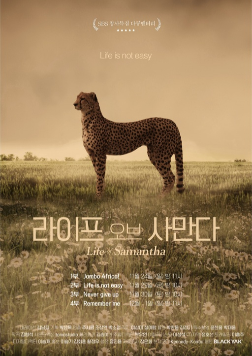 포유라이프 이미지
