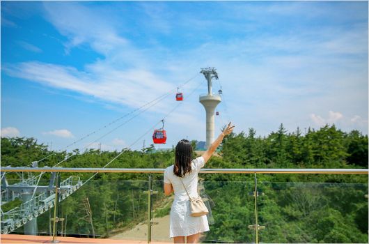 한국카프라자 이미지