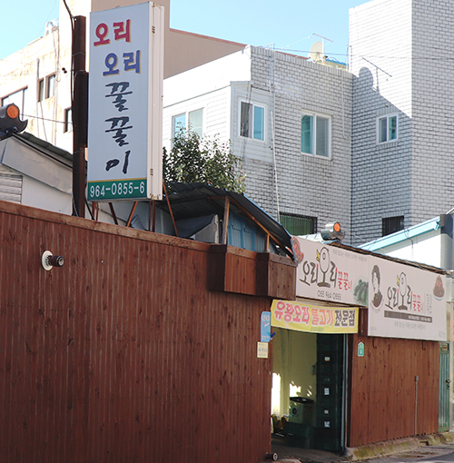 오리와꿀꿀이 이미지