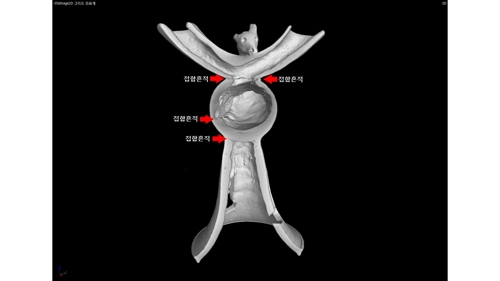 함안 말이산 고분 출토 사슴모양뿔잔 [국립문화재연구소 제공]