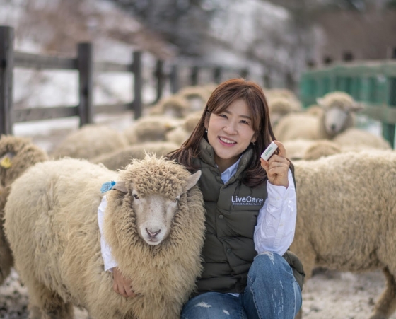 양떼기업 이미지