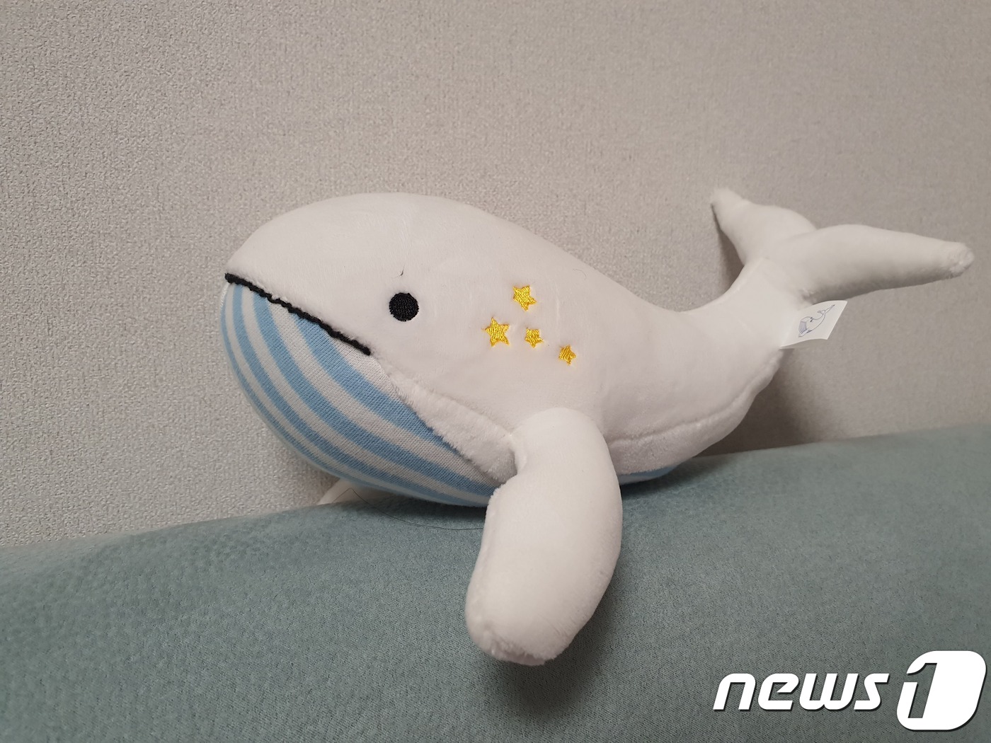 고래 이미지