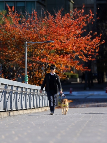 눈을 감고, 시각장애인 안내견 '바론이'와 함께 걸었다. 녀석을 믿고 걸으니, 걸음이 한결 편안해졌다./사진=삼성화재 안내견학교