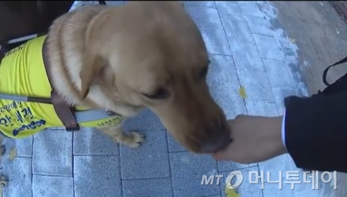 금세 친해진(그렇게 믿는) 바론이와 남기자./사진=남형도 기자