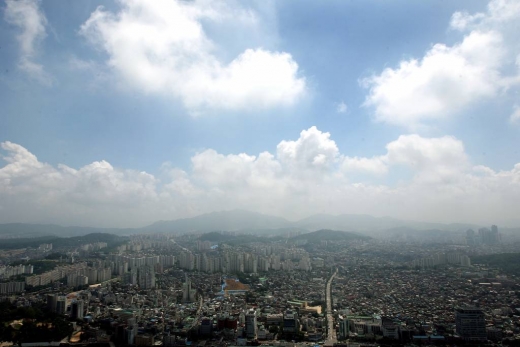 평화당1979 이미지