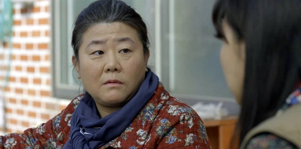 동백차이 이미지