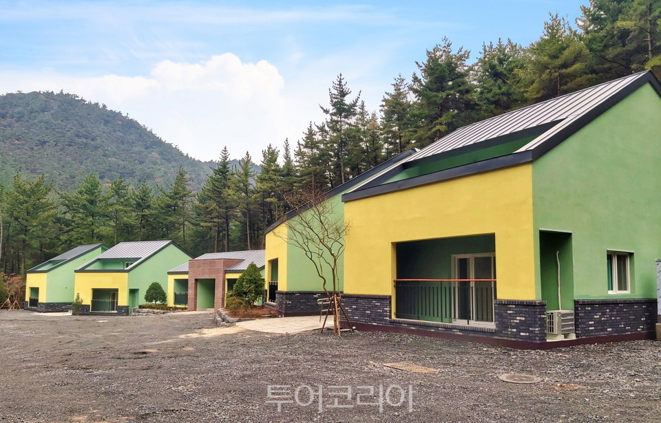 국립희리산해송자연휴양림 이미지